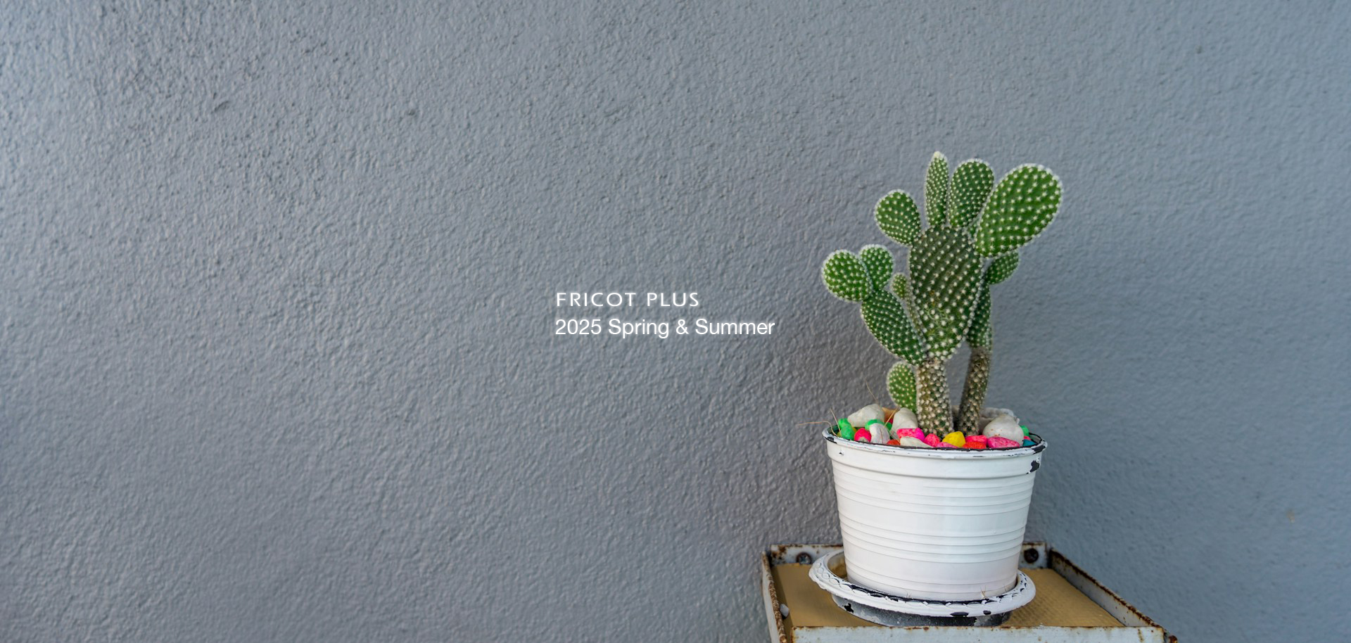 FRICOT PLUS